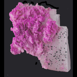 Calcite cobaltifère et arsénopyrite M2588