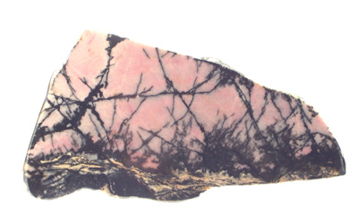 Rhodonite (section polie) M957