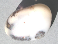Mossy opal