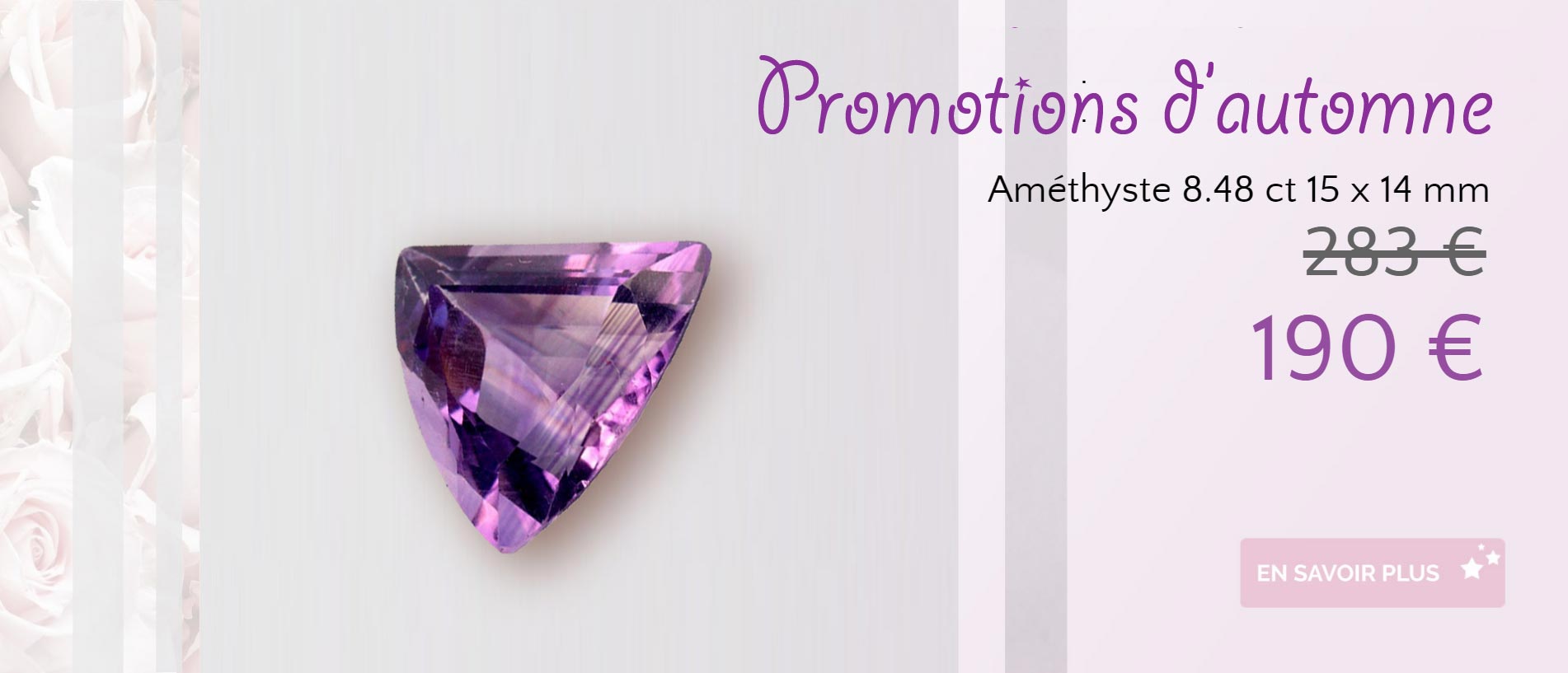 Slide Amethyste Promotion D Automne 2021