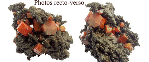 Vanadinite sur Psilomélane M1271