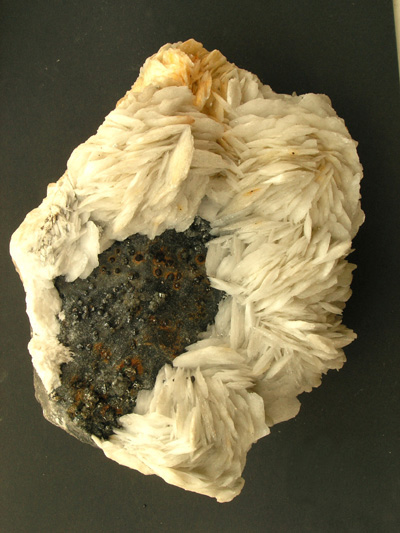 Baryte blanche crêtée M1346