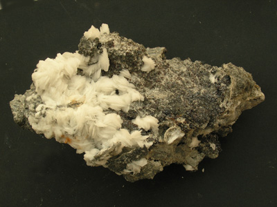 Baryte blanche crêtée M1348