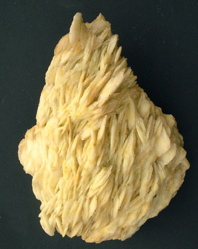 Baryte blanche crêtée M1351