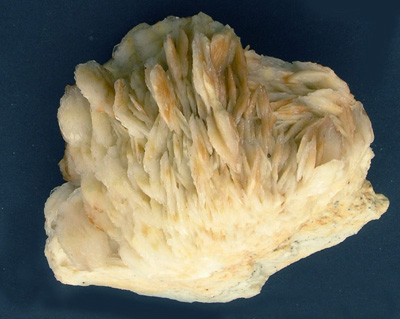 Baryte blanche crêtée M1357