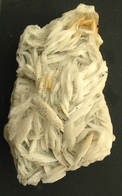 Baryte blanche crêtée M1364