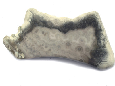 Rhyolite (Sea Jasper), polished slice M1549