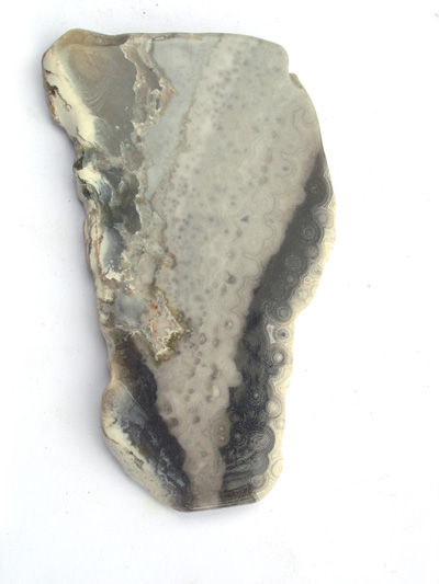 Rhyolite (Jaspe de Mer), section polie M1555