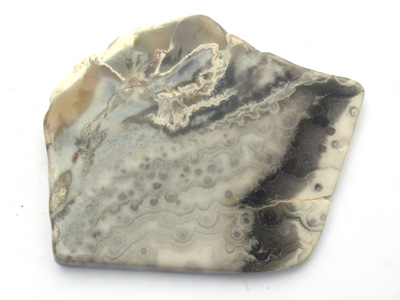 Rhyolite (Sea Jasper), polished slice M1559