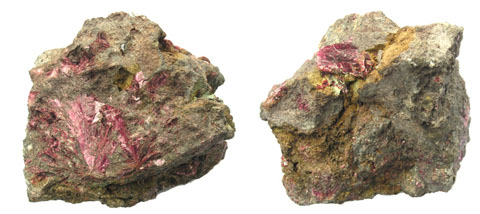 Erythrite et Annabergite  M1882