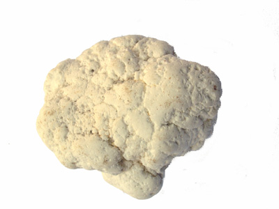 Magnesite M92