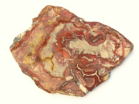 Hickorite  (Rhyolite) PLD100