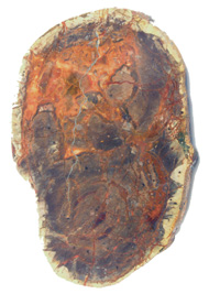 Oeuf de Tonnerre PLD158