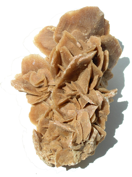 Rose des sables 