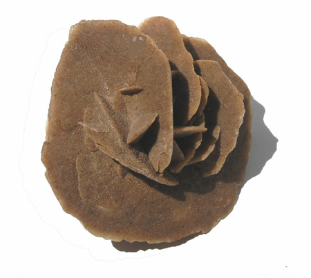 Rose des sables, Gypse