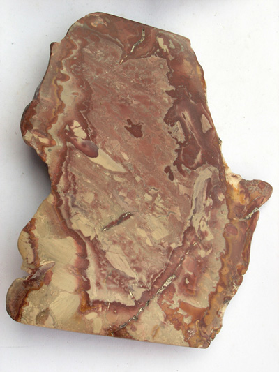 Hickorite (Rhyolite), section polie