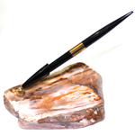 Porte-stylo en bois fossilisé