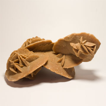 Rose des sables 