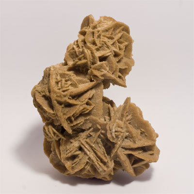 Rose des sables, Gypse