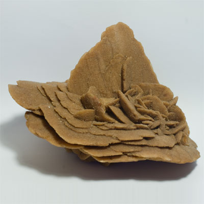 Rose des sables, Gypse