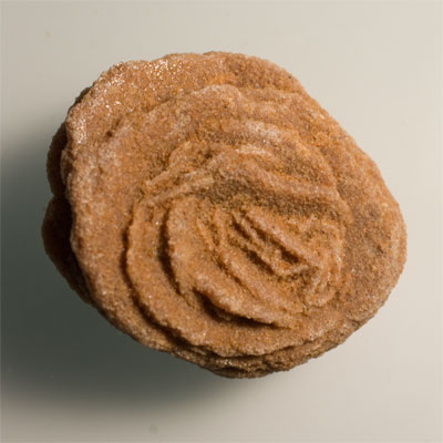 Mini rose des sables, gypse