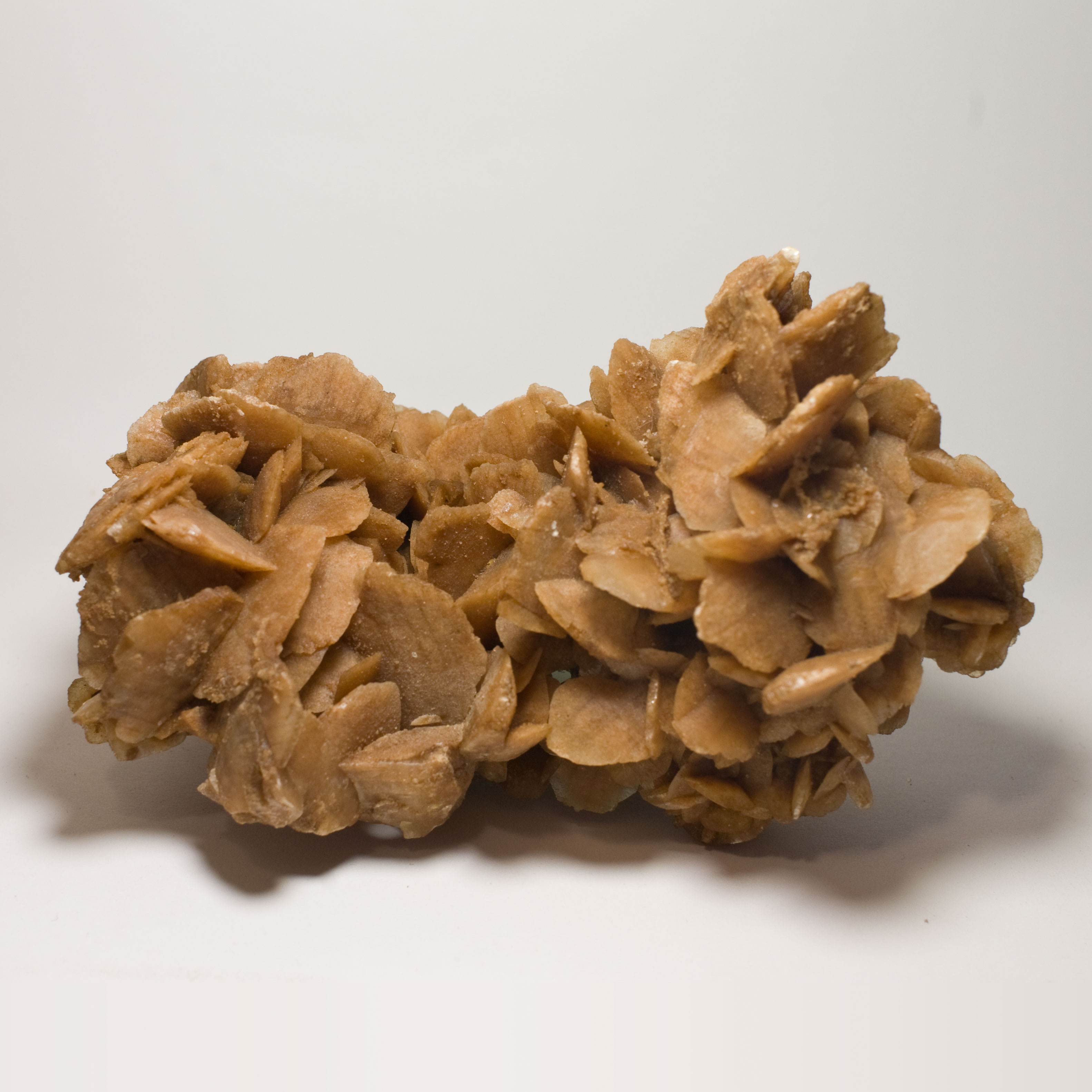 M2865 Rose Des Sables 554g 14x10cm 2